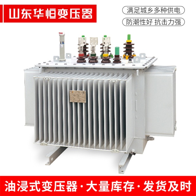 S13-10000/35东光东光东光电力变压器