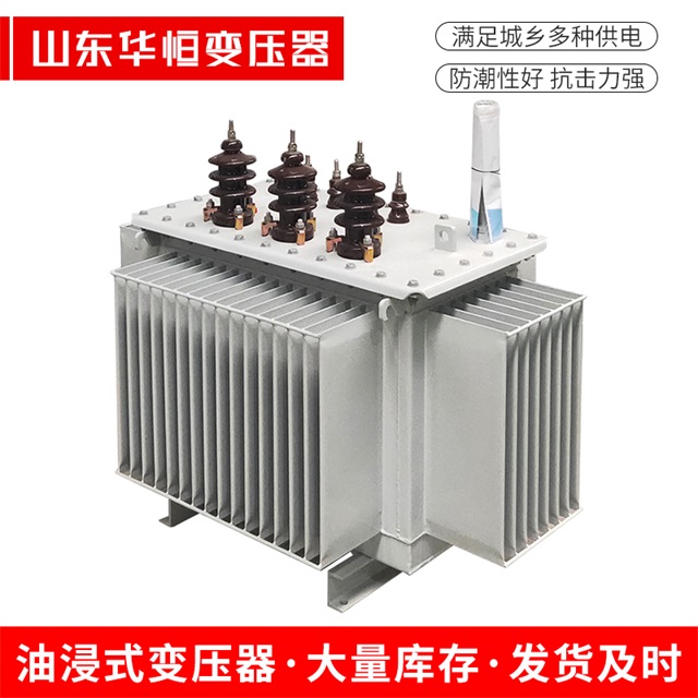 S13-10000/35东光东光东光油浸式变压器厂家